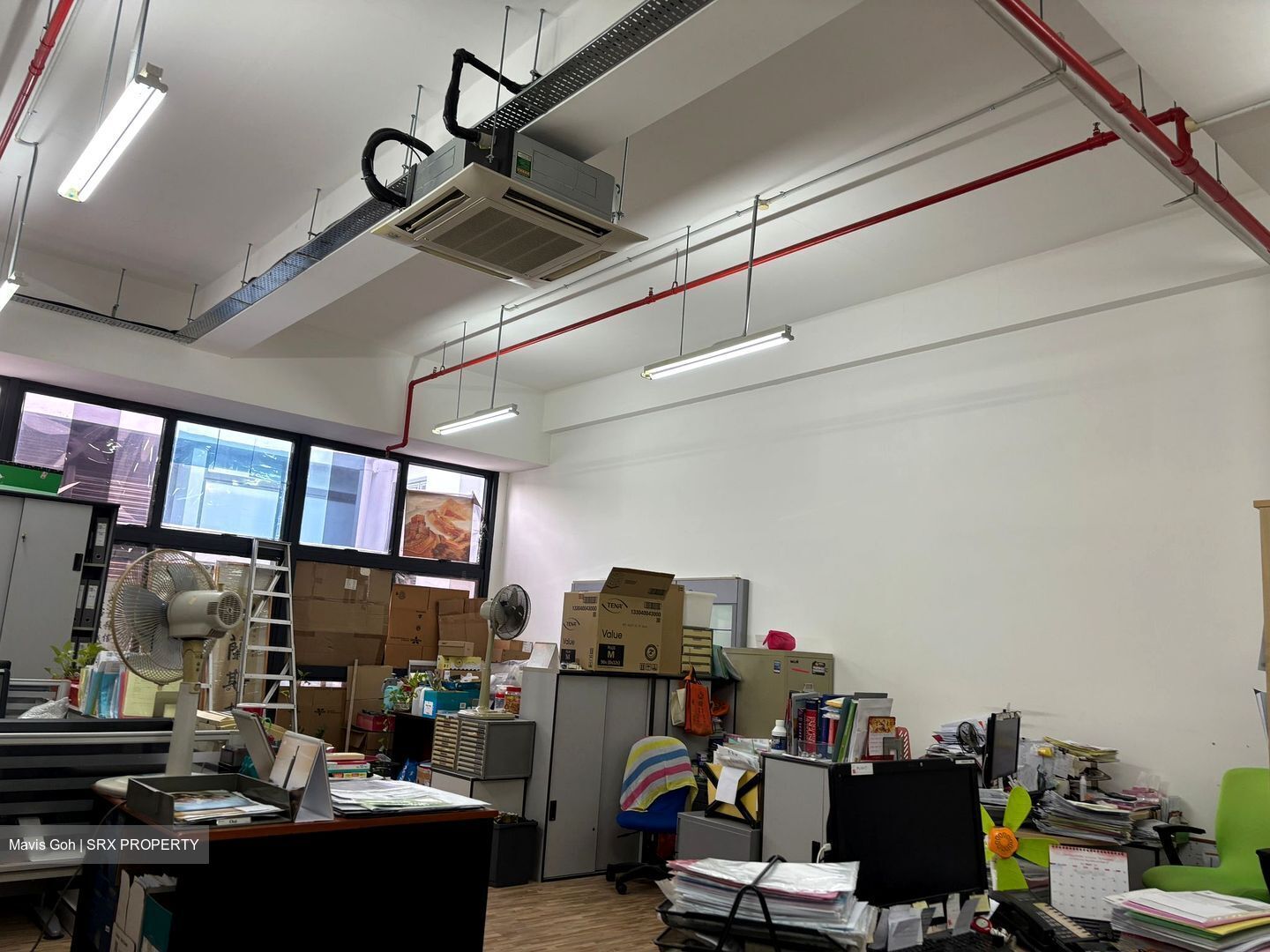 Primz Bizhub (D25), Factory #560583671